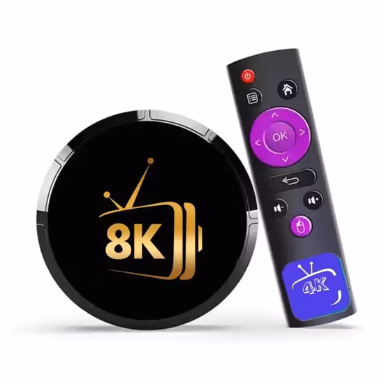 Trex IPTV サブスクリプション コード 1/3/6/12 か月 (ヨーロッパ全土) オランダ ベルギー ドイツ チャンネル IPTV Smarters Trex IPTV クレジット